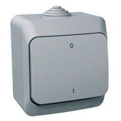   CEDAR PLUS Kétpólusú kapcsoló, IP44, szürke (102) WDE000620