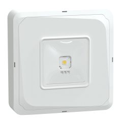   OVA Exiway Smartbeam DiCube, IP65, IK07, 3 óra, 220 lm, falon kívüli OVA48947