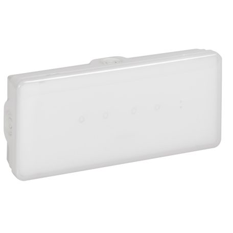 B65 tartalékvilágítási lámpatest, LED, standard, állandó/készenléti, 200lm, 1h, IP65-IK07, Ni-Cd
