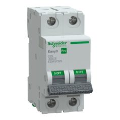 SCHNEIDER EASY9 PRO Kismegszakító, 2P, C, 25A EZ9F57225