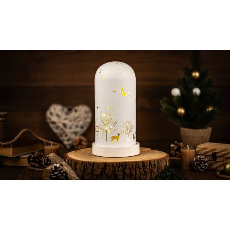 Tracon Timer 6+18h, 10LED, 3000K, 3xAA CHRGW10WW LED karácsonyi bura, tájkép, üveg, elemes (X25009) 5997374176705